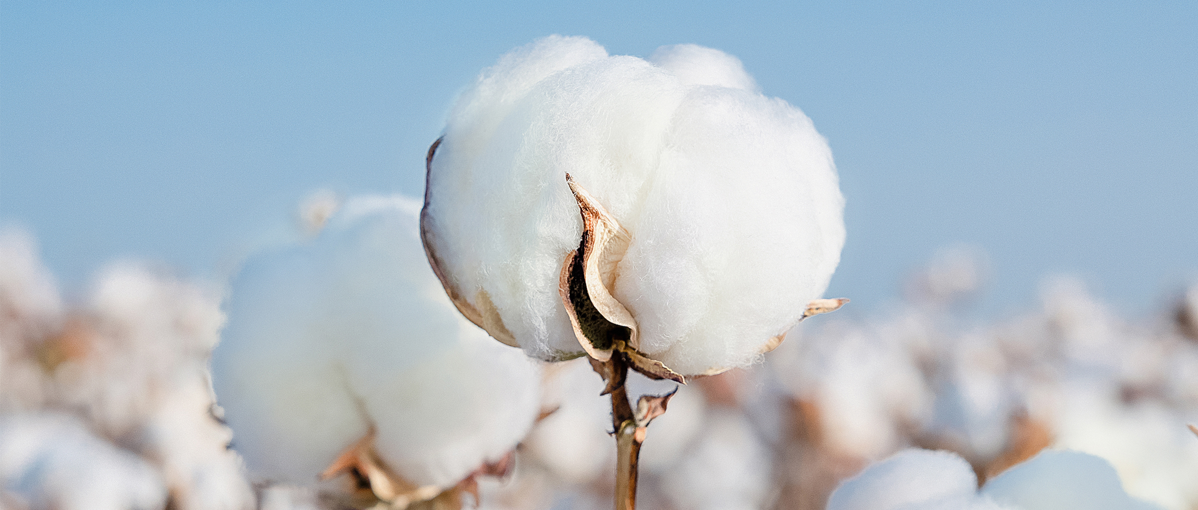 一图读懂hjc888黄金城集团2024年度ESG报告